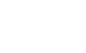 voith